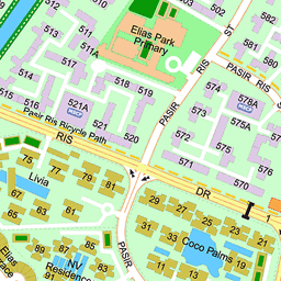 Pasir Ris Street Directory Location View Of 559 Pasir Ris Street 51, 510559
